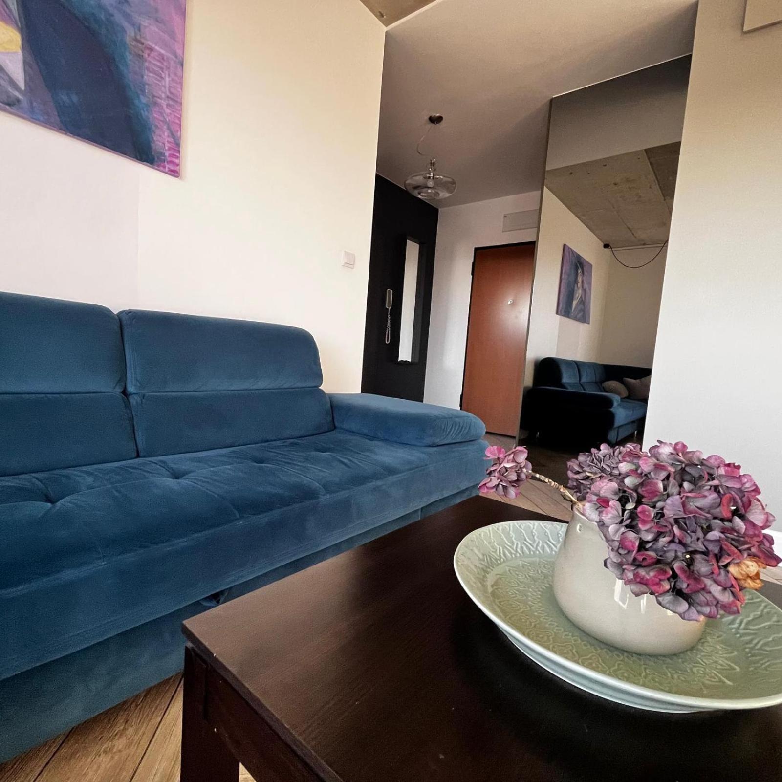 Apartment Wieloapartment - Paderewskiego